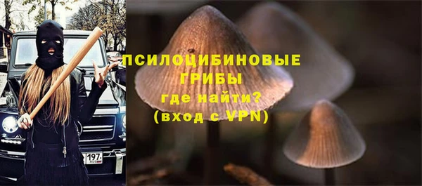 МДПВ Новокубанск