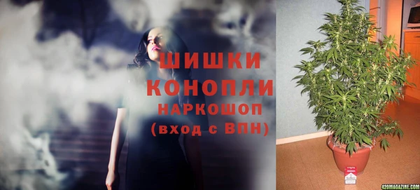 метадон Новодвинск