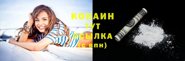 Альфа ПВП Новозыбков
