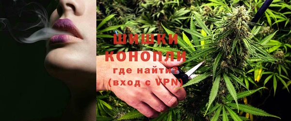 Альфа ПВП Новозыбков