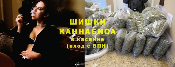 Альфа ПВП Новозыбков