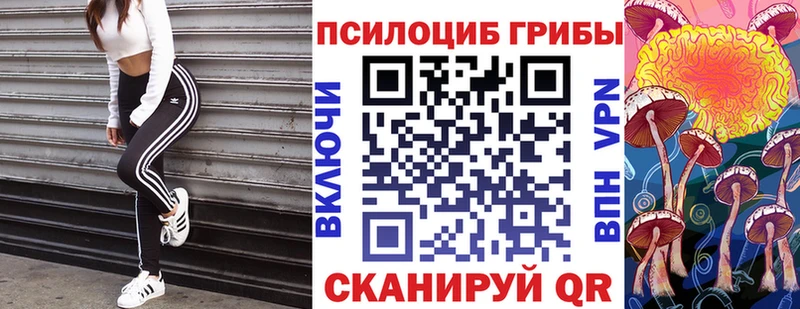 Псилоцибиновые грибы ЛСД  Хилок 