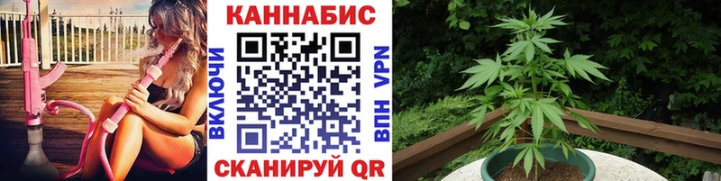 darknet клад  Хилок  Конопля SATIVA & INDICA 